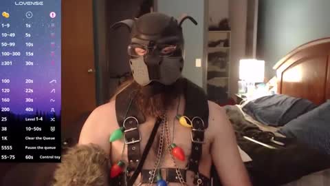 Snapshot of kinkywolf87 chatting on 24, 12, 2024 kinkywolf87 online show from 24, 12, 2024