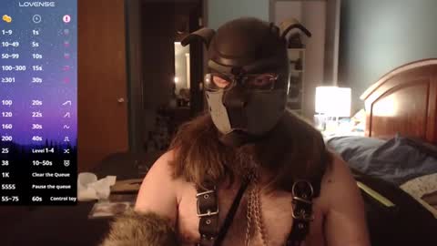Snapshot of kinkywolf87 chatting on 15, 1, 2025 kinkywolf87 online show from 15, 1, 2025