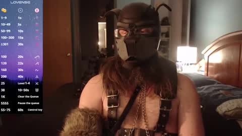Snapshot of kinkywolf87 chatting on 1, 2, 2025 kinkywolf87 online show from 1, 2, 2025