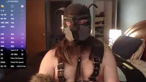 Snapshot of kinkywolf87 chatting on 2, 2, 2025 kinkywolf87 online show from 2, 2, 2025