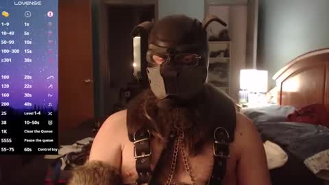 Snapshot of kinkywolf87 chatting on 14, 2, 2025 kinkywolf87 online show from 14, 2, 2025