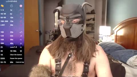 Snapshot of kinkywolf87 chatting on 23, 2, 2025 kinkywolf87 online show from 23, 2, 2025