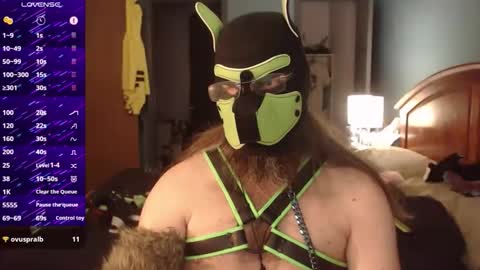 Snapshot of kinkywolf87 chatting on 24, 9, 2025 kinkywolf87 online show from 24, 9, 2025