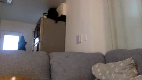 kinnkybwc online show from 29, 3, 2026