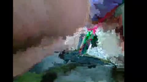 KiraGoldens online show from 11, 6, 2026