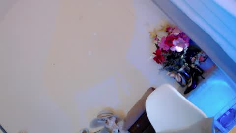 Snapshot of kissmebetter chatting on 29, 6, 2026 Saint Onicka online show from 29, 6, 2026