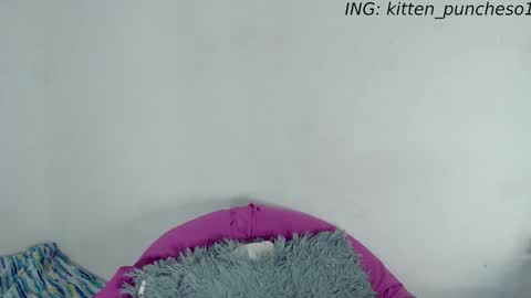Snapshot of kitten_punches01 chatting on 28, 9, 2025 kitten_punches01 online show from 28, 9, 2025