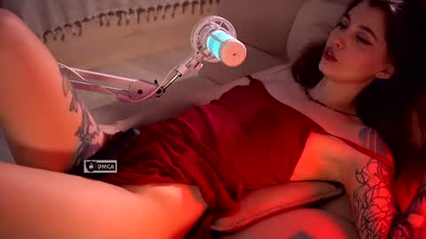 Snapshot of kittybay_ chatting on 2, 7, 2026 KittyBay online show from 2, 7, 2026