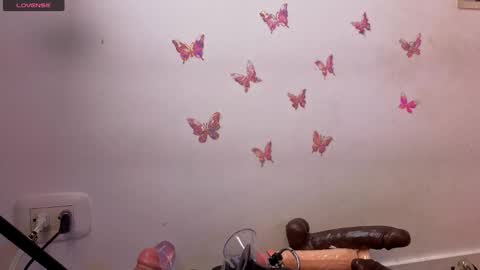 Kitty online show from 17, 1, 2026