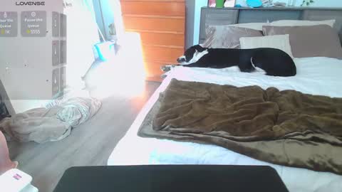 Kittyymaze online show from 14, 1, 2025