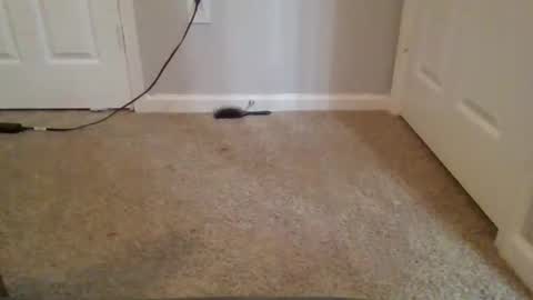 kkristy07 online show from 21, 2, 2026