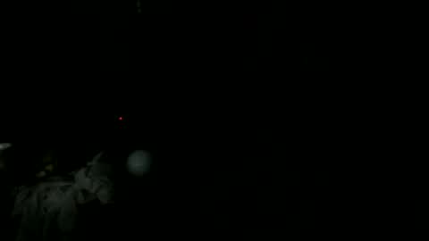 knight_rider118 online show from 11, 3, 2025