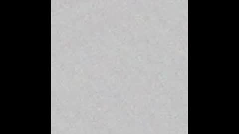 knox_steele online show from 30, 11, 2025