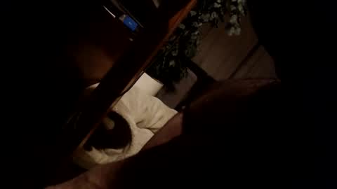 Snapshot of koekerdt chatting on 31, 1, 2025 koekerdt online show from 31, 1, 2025