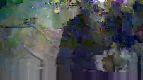 koelie1982 online show from 8, 6, 2026