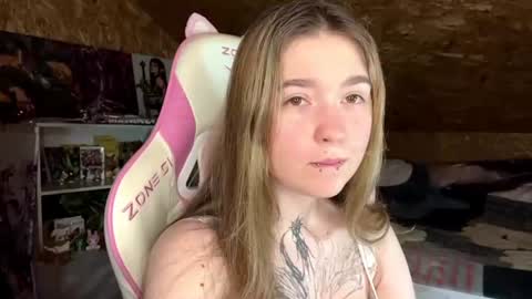 Nova online show from 1, 7, 2026