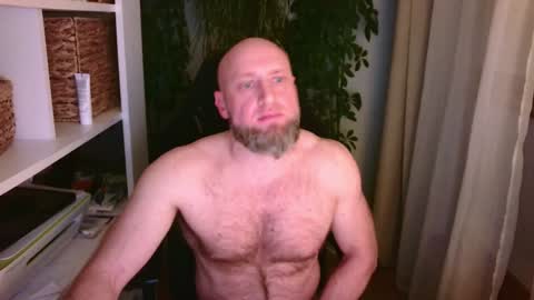 Kotylion online show from 3, 2, 2025
