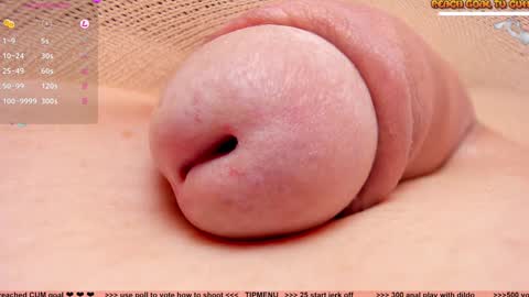 Petra online show from 16, 12, 2024