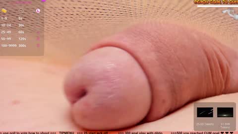 Petra online show from 2, 1, 2025