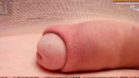 Petra online show from 21, 12, 2025