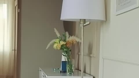 Kristi online show from 13, 9, 2025