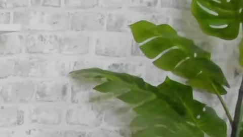 Kristi online show from 15, 12, 2024