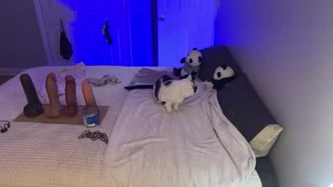 Snapshot of kristinsnowbunny chatting on 17, 9, 2025 Kristin Snow online show from 17, 9, 2025