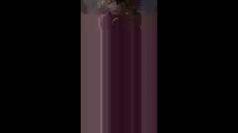 kteewilds online show from 20, 3, 2026