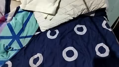 Snapshot of l0c0fundias chatting on 13, 9, 2025 l0c0fundias online show from 13, 9, 2025