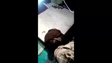 labestiareconoseme44420 online show from 1, 4, 2026