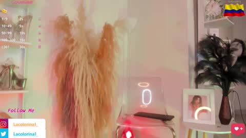 Colorina  online show from 5, 11, 2025