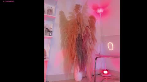 Colorina  online show from 12, 1, 2026