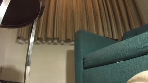 lacub online show from 19, 2, 2025