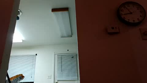 lacybell online show from 14, 1, 2025