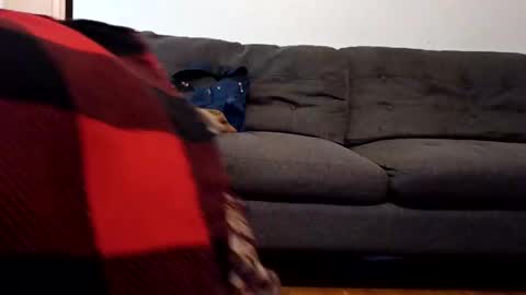 lacybell online show from 7, 2, 2025