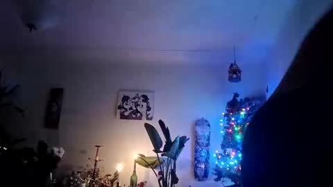 lacybell online show from 19, 12, 2025