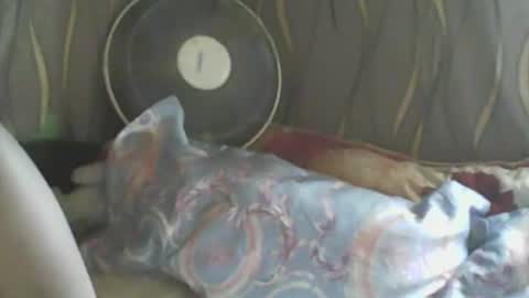 Snapshot of ladyxsnakes chatting on 10, 1, 2025 LadyXSnakes online show from 10, 1, 2025