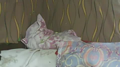 Snapshot of ladyxsnakes chatting on 11, 2, 2025 LadyXSnakes online show from 11, 2, 2025