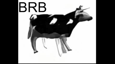 just call me Lana  and her security online show from 17, 1, 2025