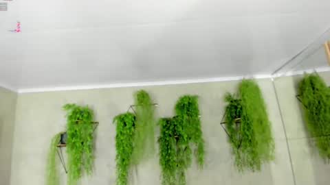 lana_lann online show from 9, 1, 2025