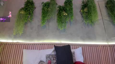 lana_lann online show from 14, 2, 2025