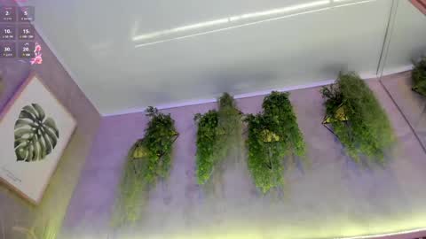 lana_lann online show from 27, 2, 2025