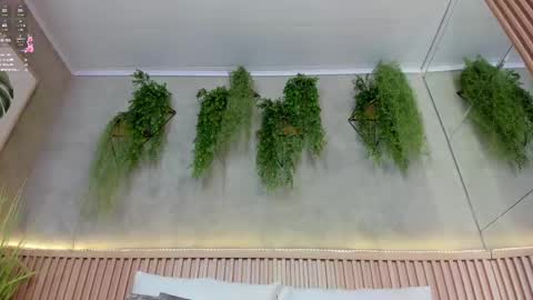 lana_lann online show from 12, 3, 2025