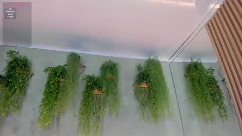 lana_lann online show from 10, 11, 2025