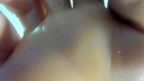 Snapshot of latin__curly chatting on 7, 11, 2025 Afrodita online show from 7, 11, 2025