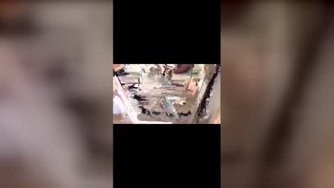 latinbulldaddy88036 online show from 9, 3, 2026