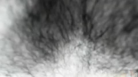 Zeus online show from 3, 2, 2026