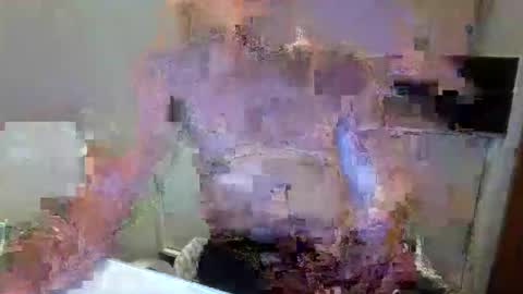 latinobra online show from 7, 10, 2025