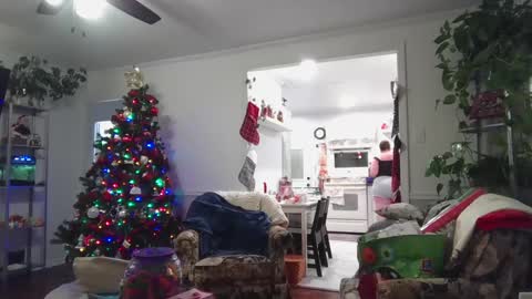 Snapshot of laulauma chatting on 23, 12, 2024 LauLauMa online show from 23, 12, 2024