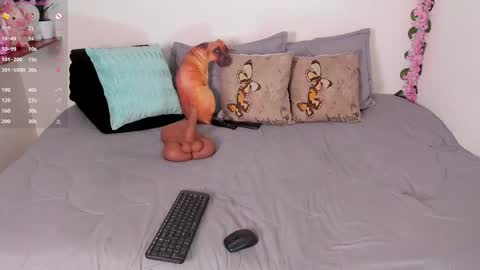 laura1__ online show from 15, 12, 2025